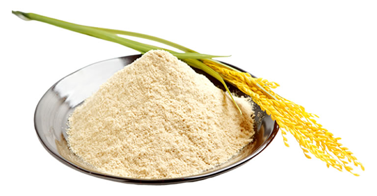 米ぬか加工食品 ライスブライアン🄬画像
